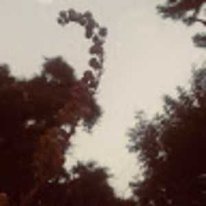 Meet your Posher, Maddie